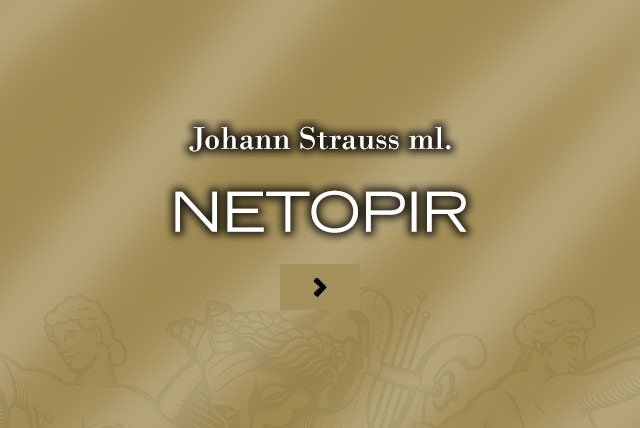 Netopir 2024 640x428